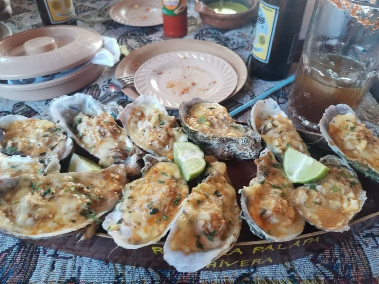 380289596_799414842185260_4744555816294206815_n