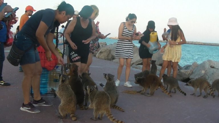 WhatsApp Image 2023-09-21 at 8.30.18 AM (1)