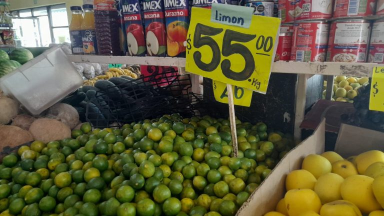 WhatsApp Image 2023-09-23 at 9.46.45 AM (2)