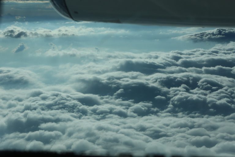 WhatsApp Image 2023-10-14 at 11.52.15 AM (1)