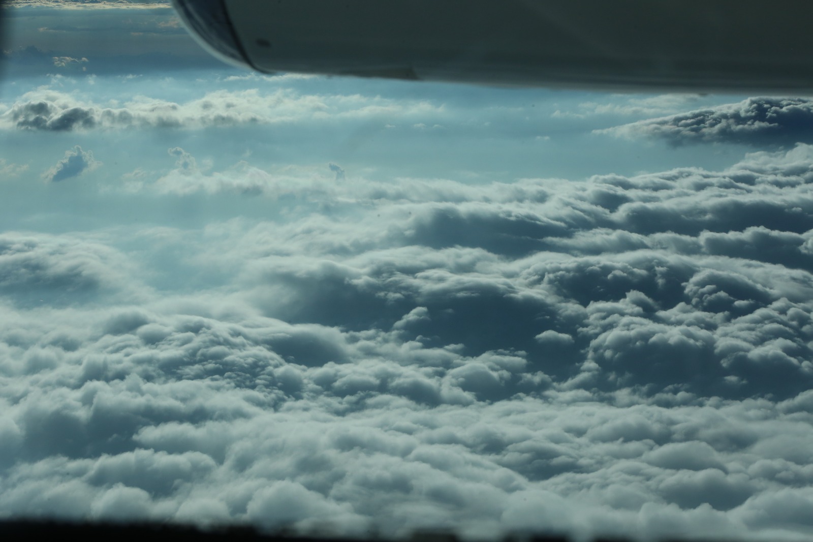 WhatsApp Image 2023-10-14 at 11.52.15 AM (1)