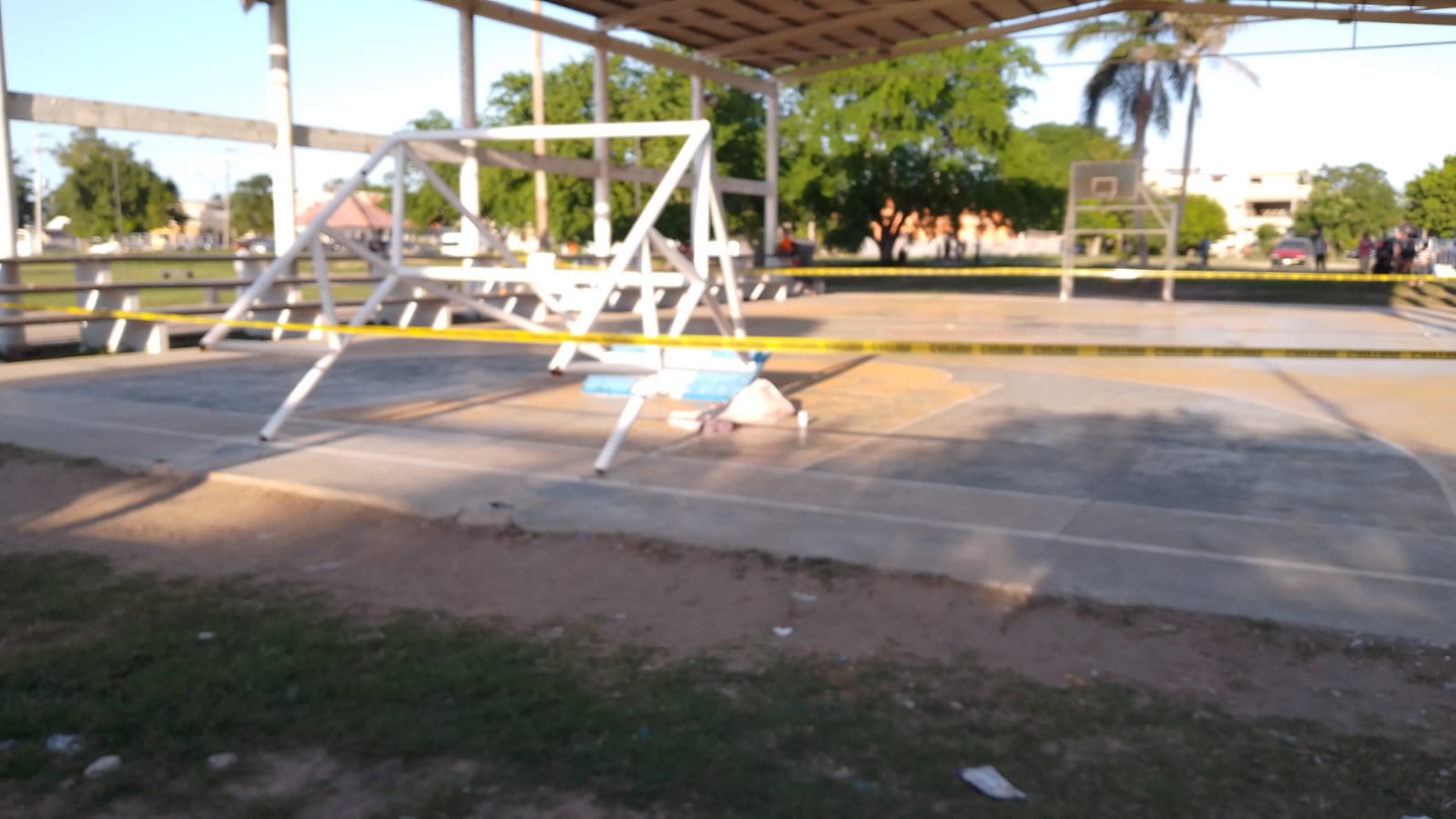 WhatsApp Image 2023-11-06 at 4.43.24 PM