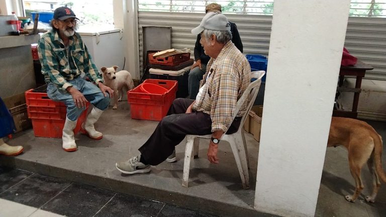 a6a23b0d-d035-46b2-91f3-689c0b9e134f