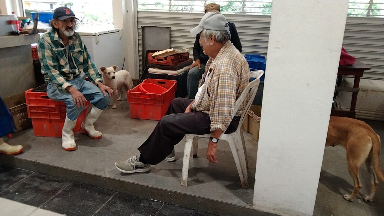 a6a23b0d-d035-46b2-91f3-689c0b9e134f