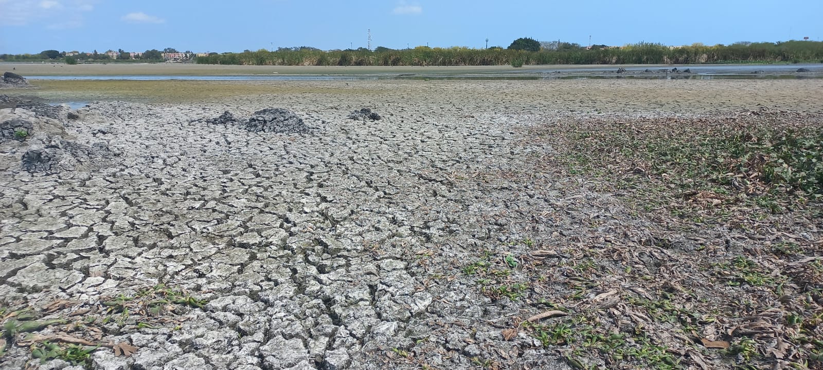 WhatsApp Image 2024-03-19 at 7.24.24 AM