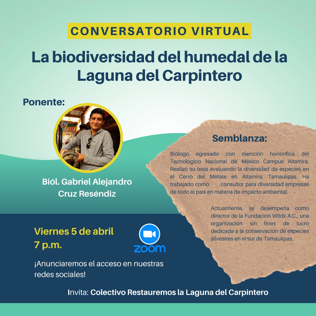 WhatsApp Image 2024-04-02 at 6.44.13 PM