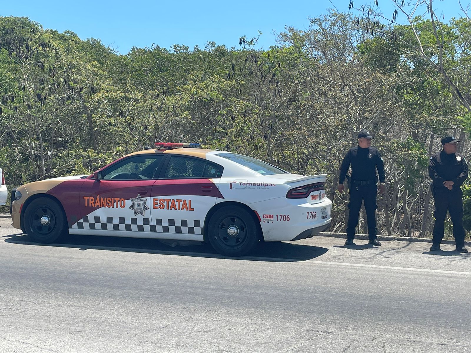 WhatsApp Image 2024-06-16 at 1.25.29 PM