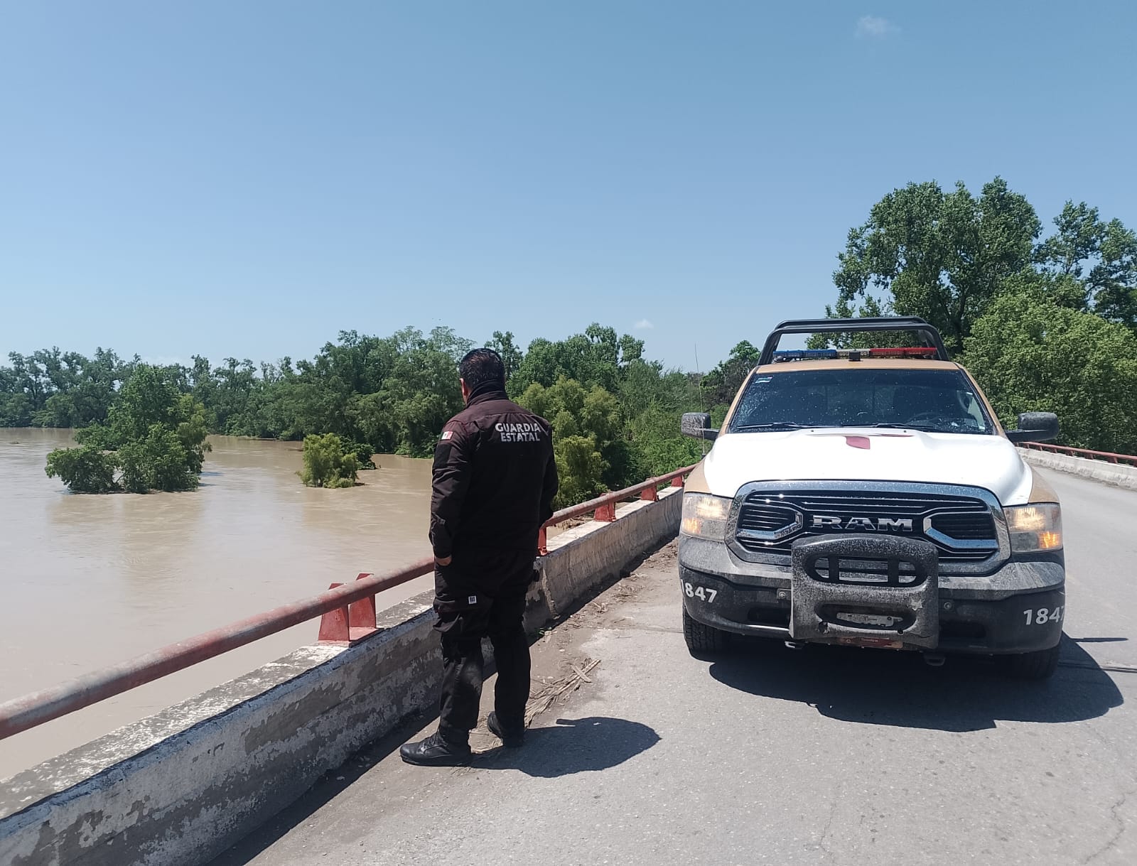 Imagen de WhatsApp 2024-07-03 a las 12.20.23_85504be9