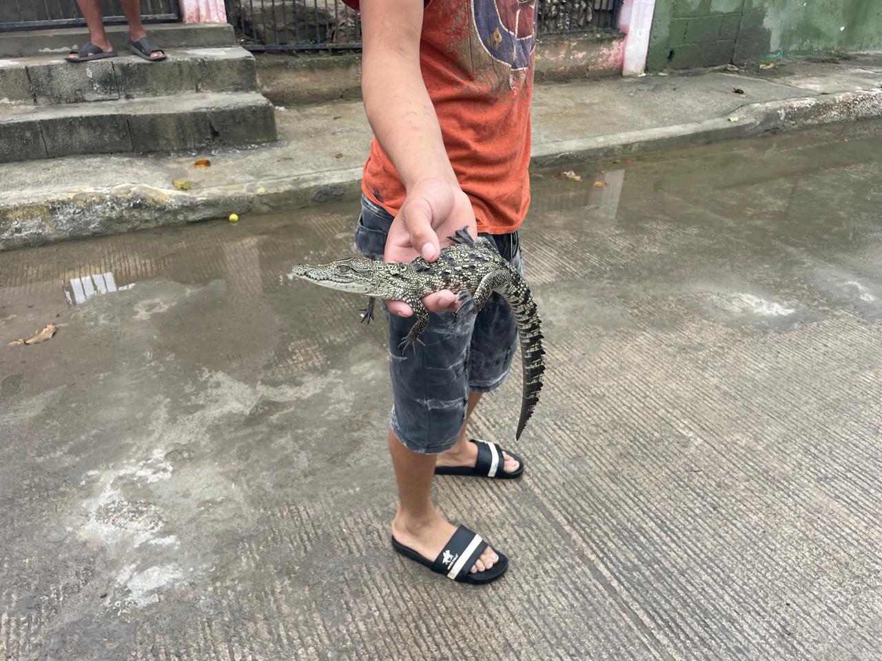 Imagen de WhatsApp 2024-07-11 a las 07.02.13_cd2ecfd3