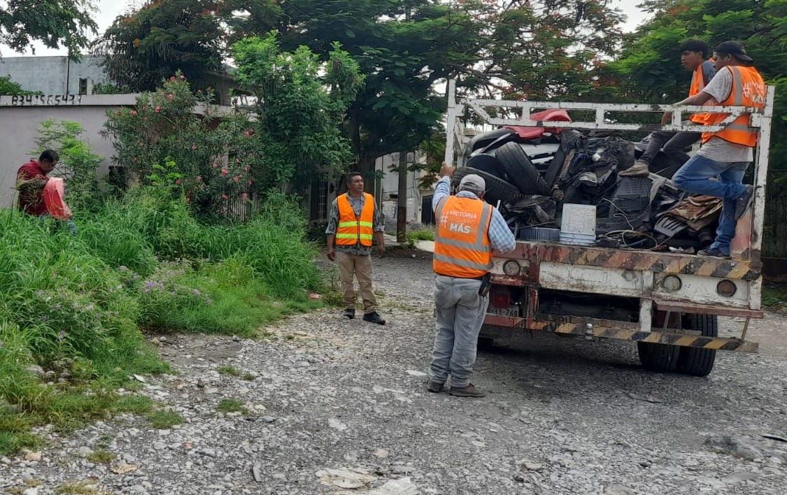 Imagen de WhatsApp 2024-07-11 a las 17.02.29_e7e0abcc