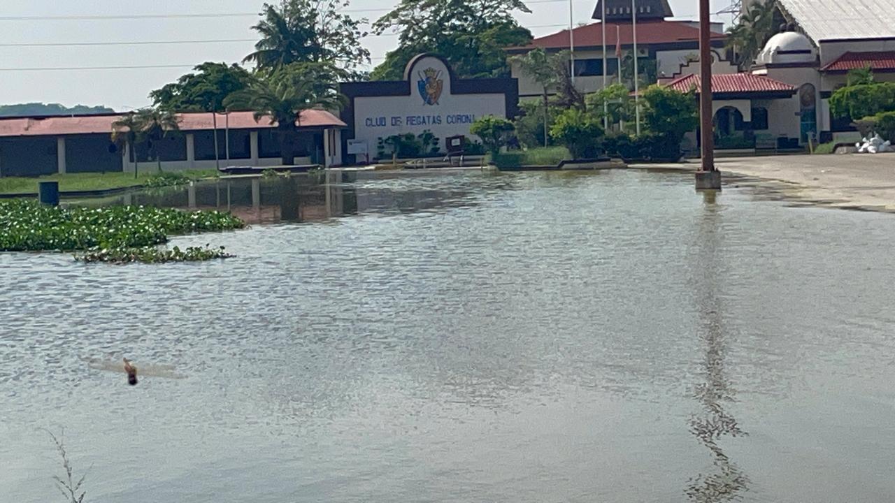 Imagen de WhatsApp 2024-07-12 a las 10.00.01_6eff6ede