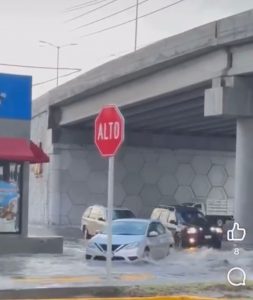 WhatsApp Image 2024-09-11 at 6.57.05 PM