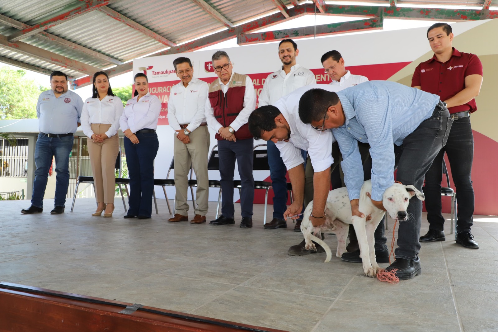 WhatsApp Image 2024-09-24 at 3.21.33 PM