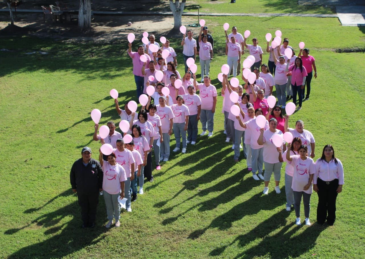 WhatsApp Image 2024-10-20 at 4.59.35 PM