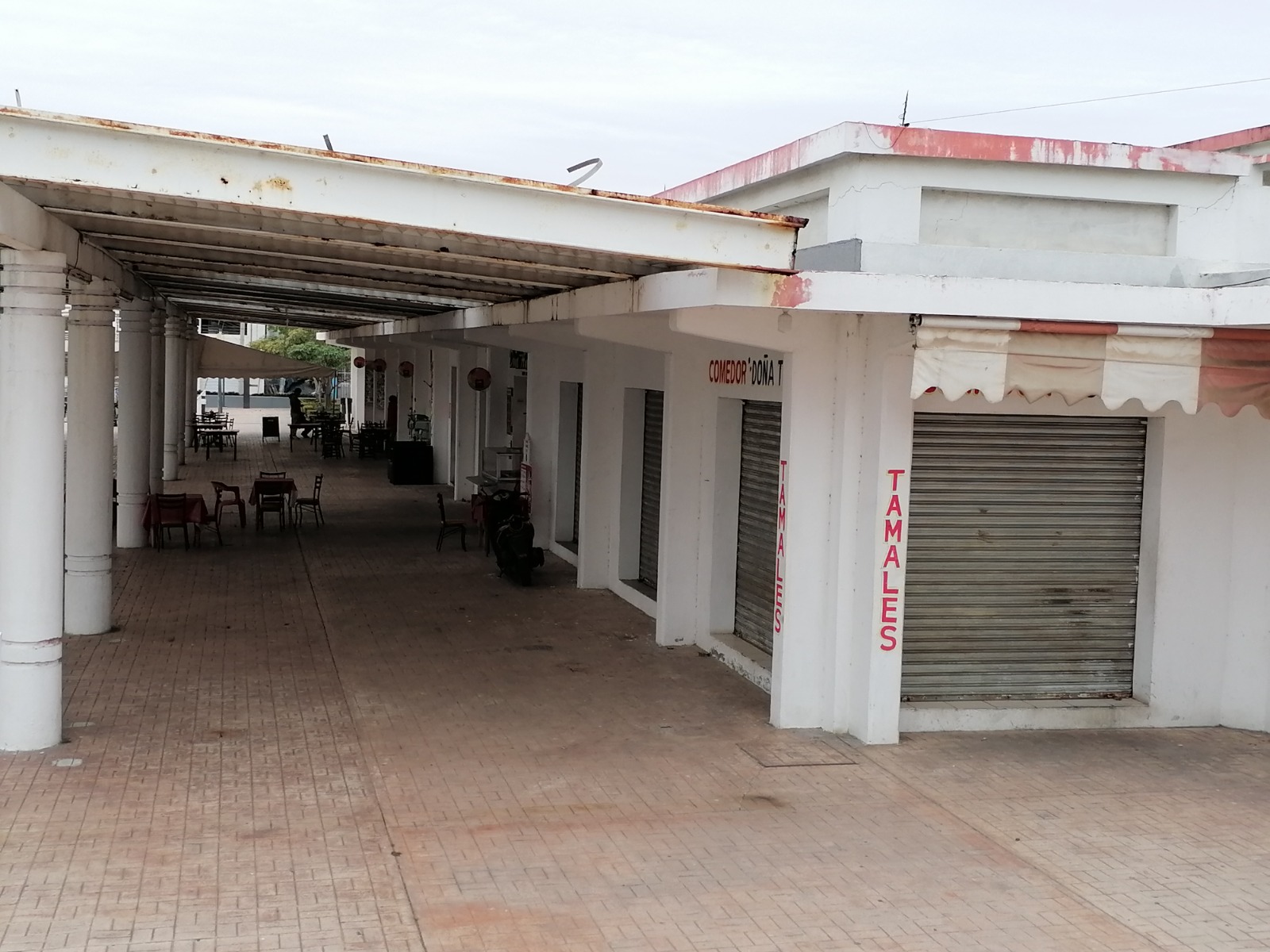 WhatsApp Image 2024-10-25 at 5.39.54 AM (1)