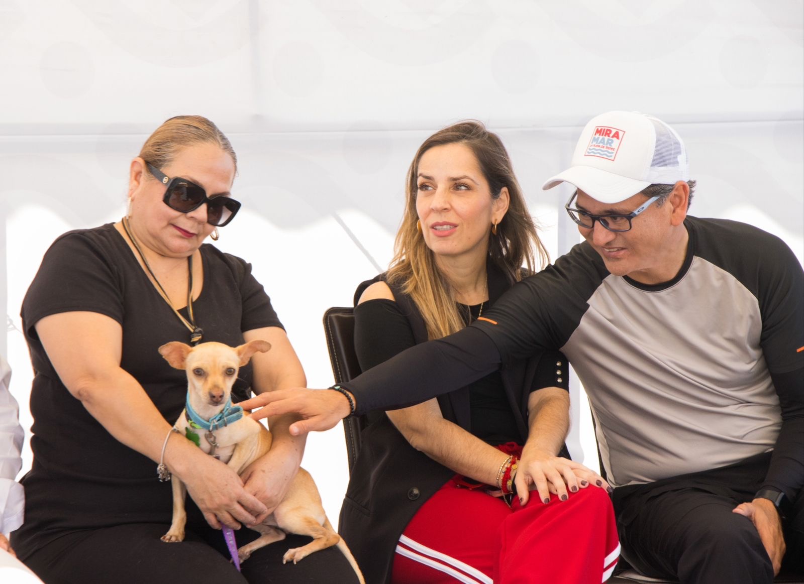 3b7ee4c6-5cda-4063-a762-31d68ef5e4ff