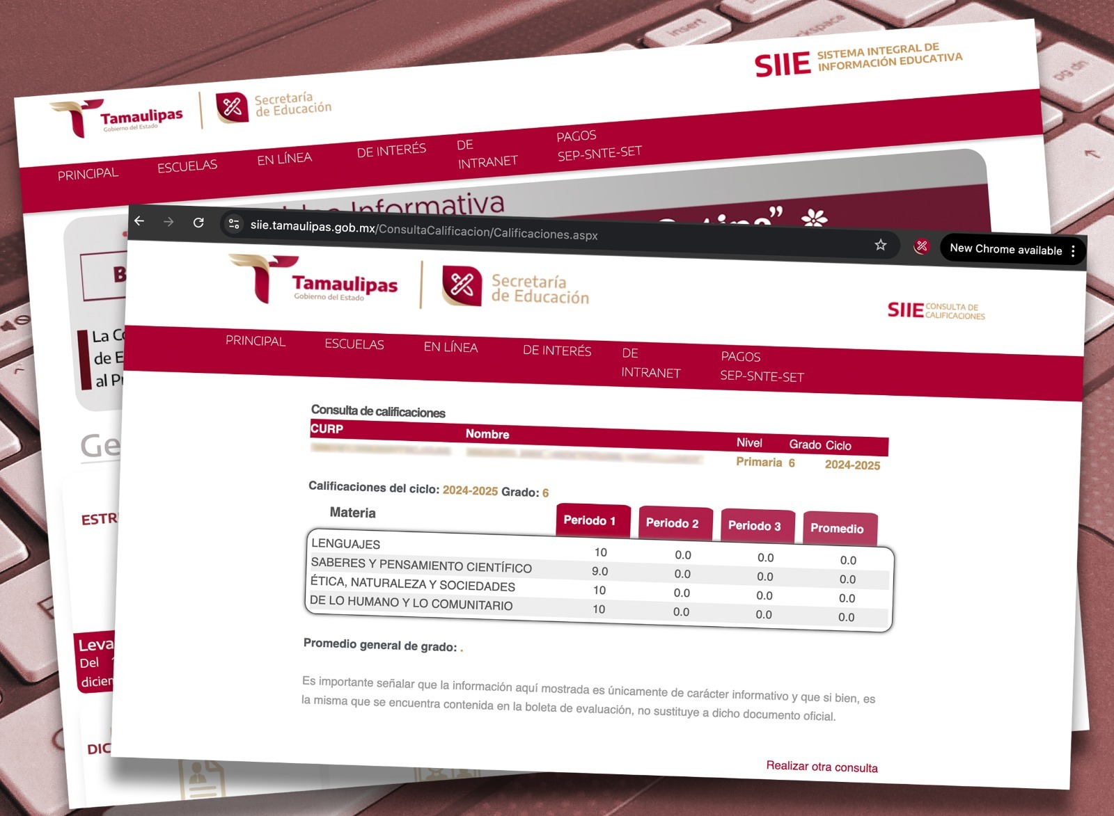 WhatsApp Image 2024-12-05 at 1.55.13 PM (1)