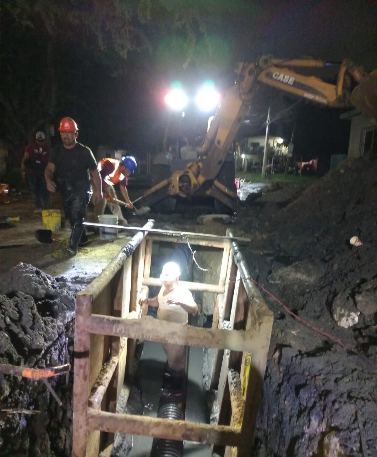 WhatsApp Image 2024-12-05 at 3.50.50 PM