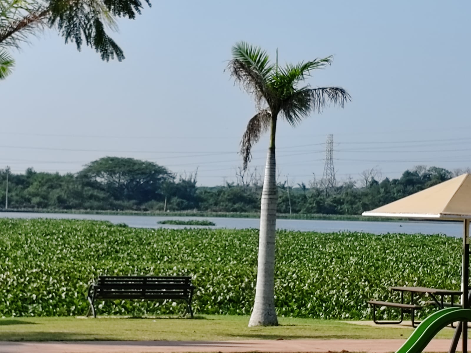 WhatsApp Image 2024-12-09 at 12.17.13 PM