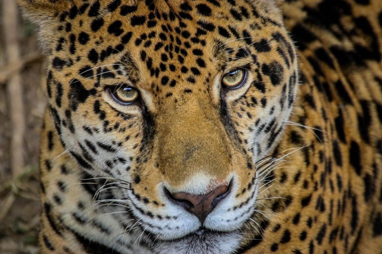 WhatsApp Image 2024-12-26 at 12.08.39 PM