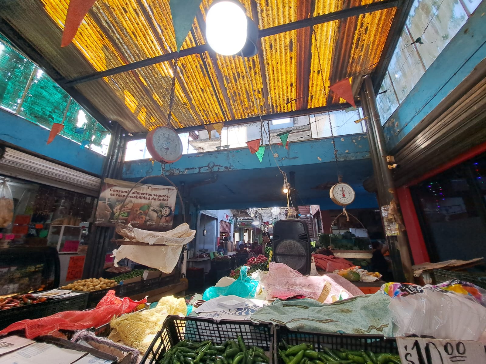 WhatsApp Image 2025-01-02 at 9.42.36 PM