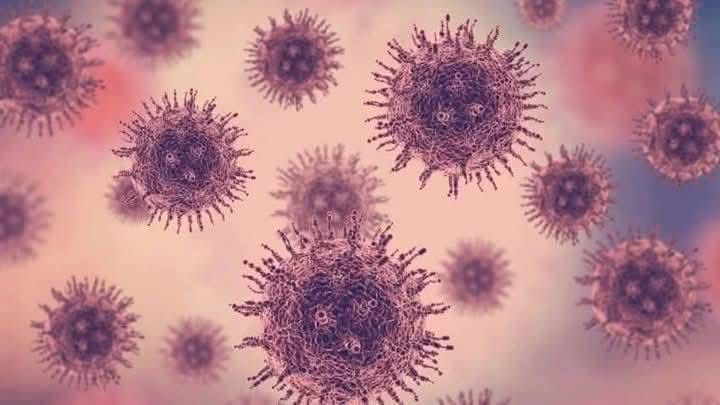 WhatsApp Image 2025-01-06 at 8.14.44 PM