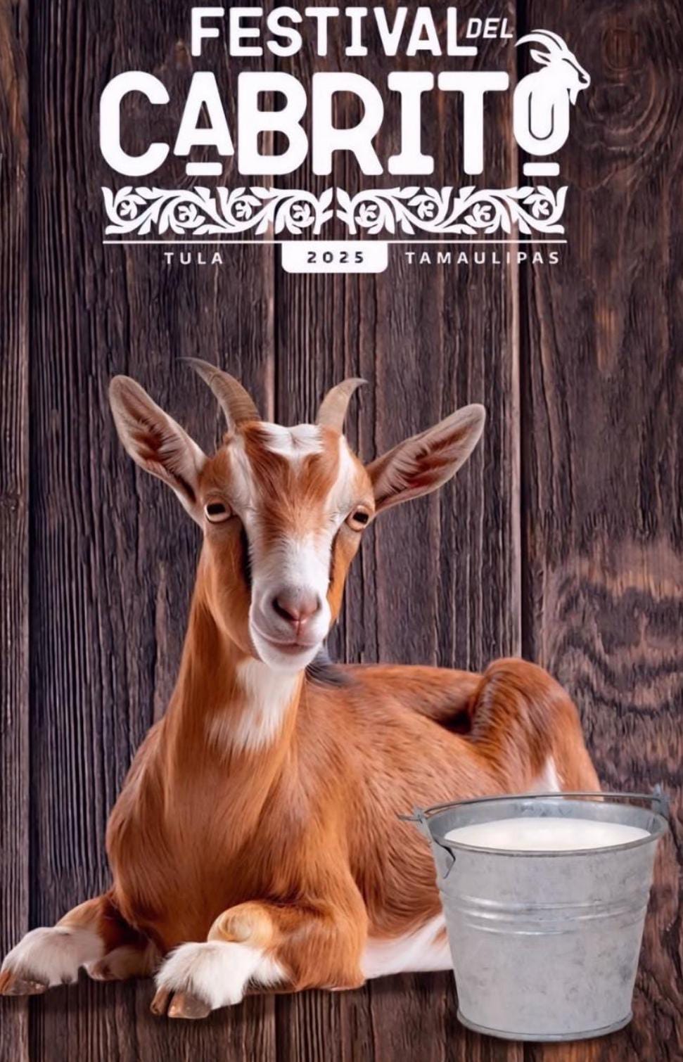 WhatsApp Image 2025-01-24 at 3.11.36 PM