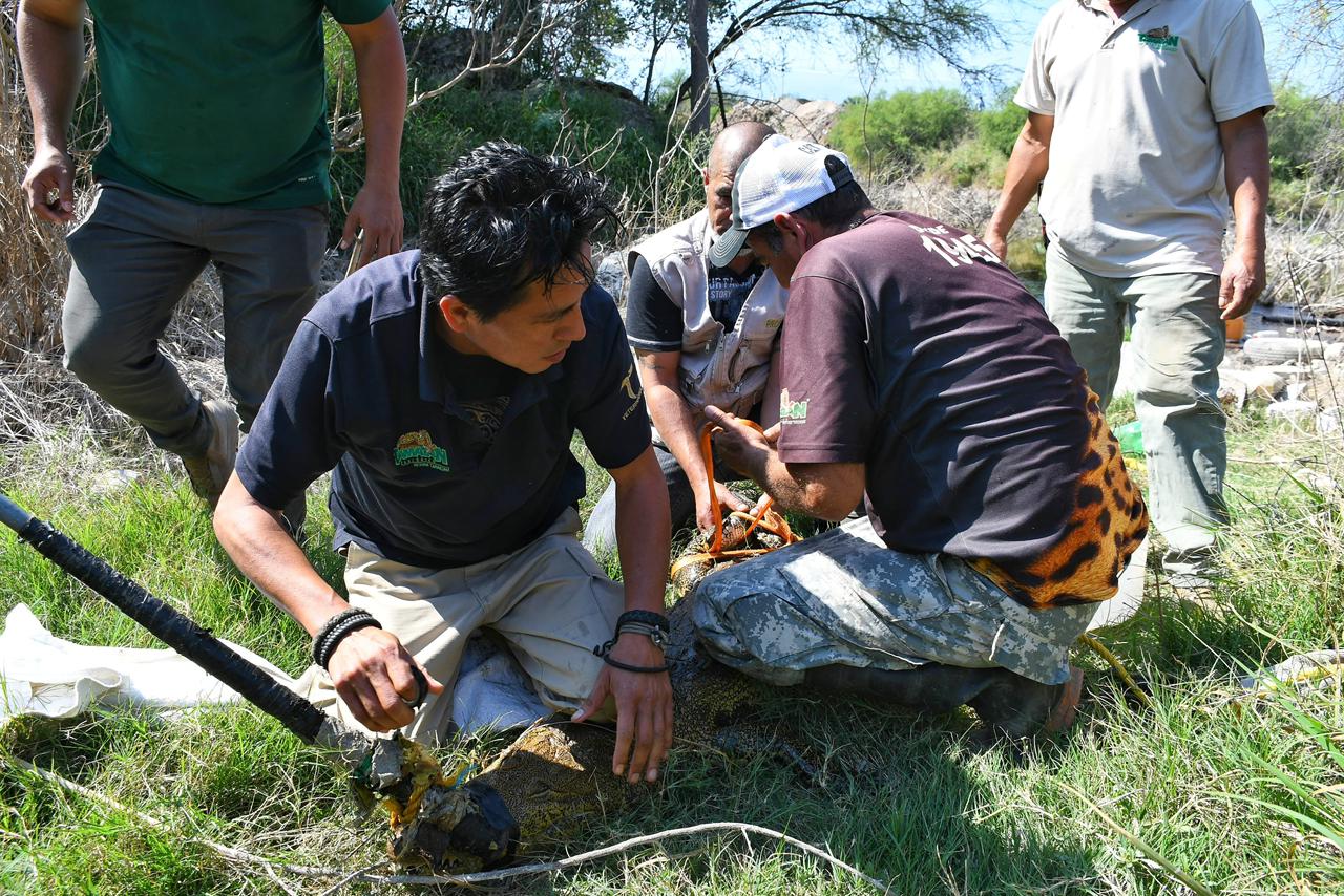 WhatsApp Image 2025-02-06 at 2.31.12 PM