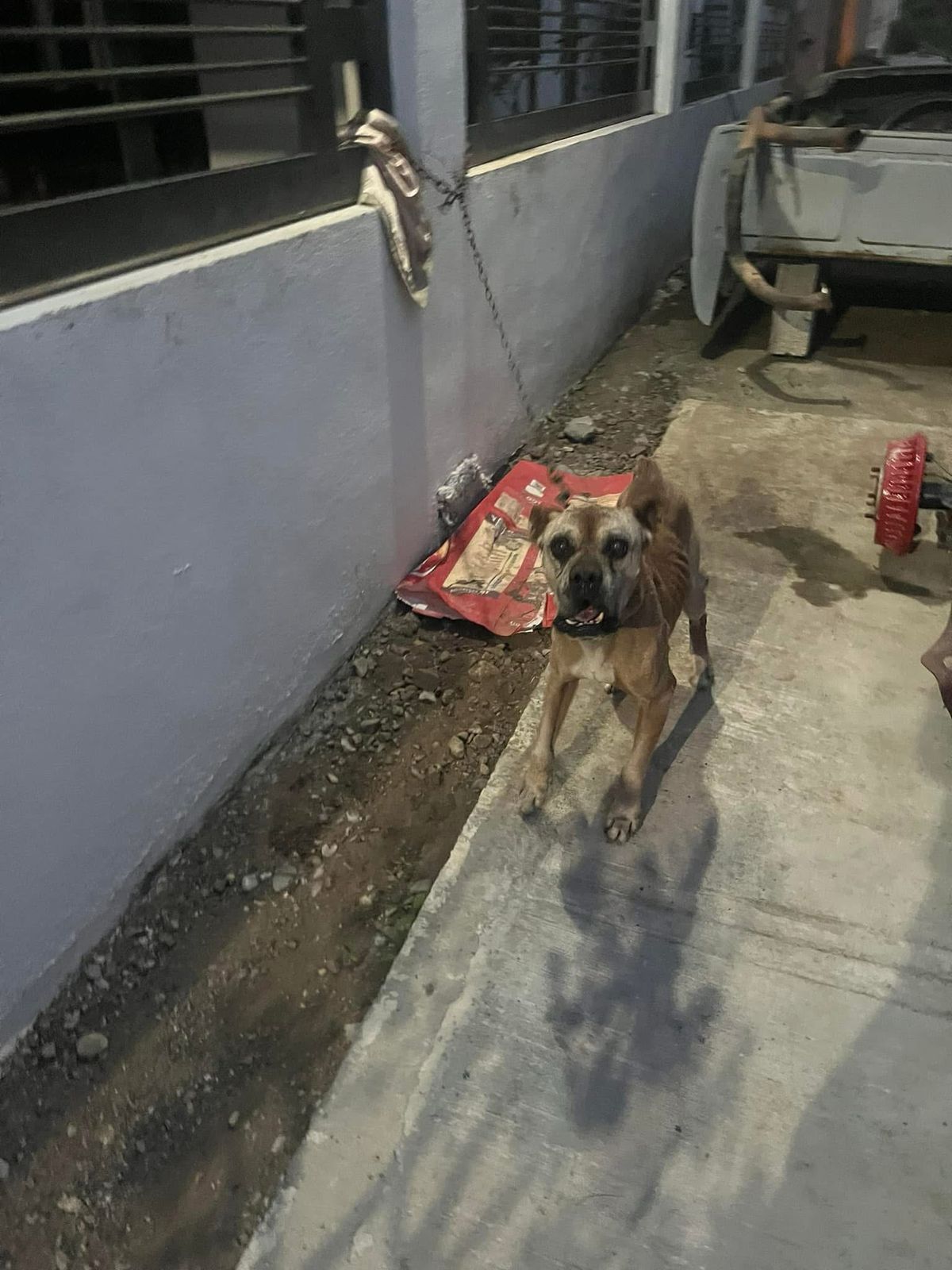 WhatsApp Image 2025-02-12 at 5.13.08 PM (1)