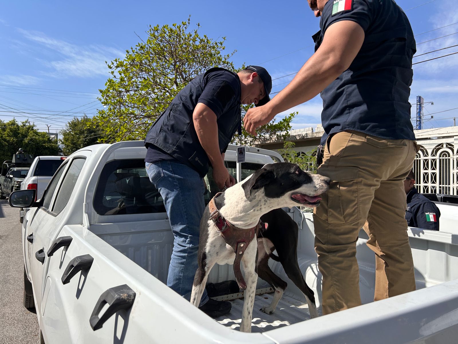 WhatsApp Image 2025-02-19 at 7.27.58 PM (1)