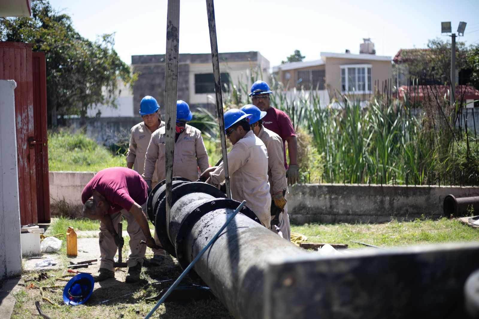 WhatsApp Image 2025-02-24 at 6.00.45 PM (3)