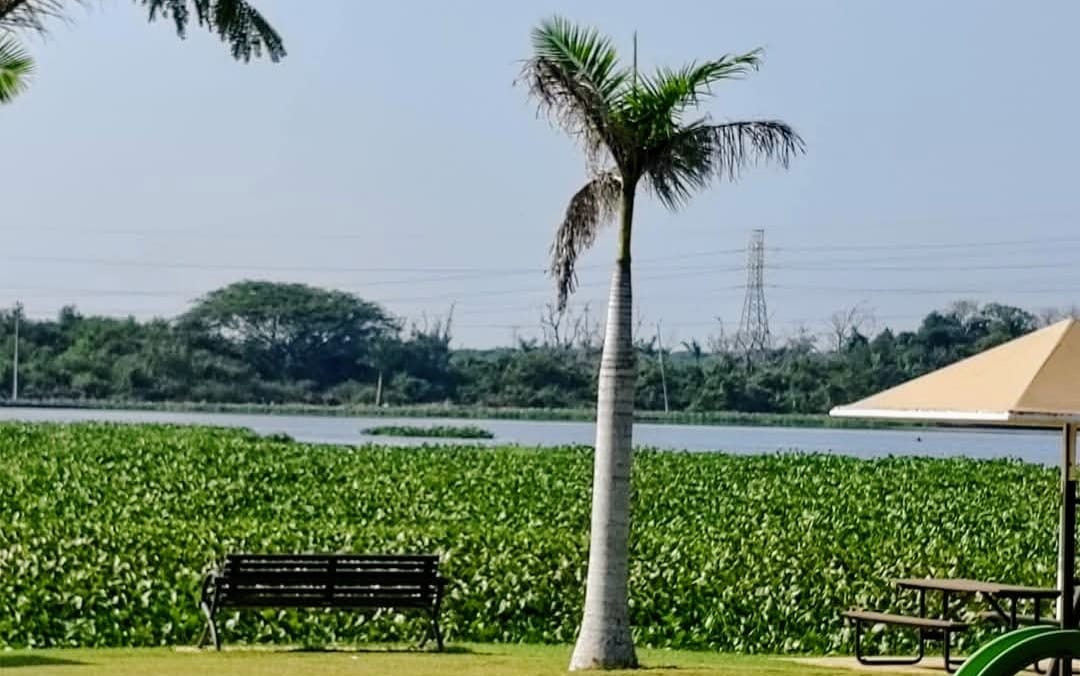 WhatsApp Image 2025-02-25 at 12.30.11 PM