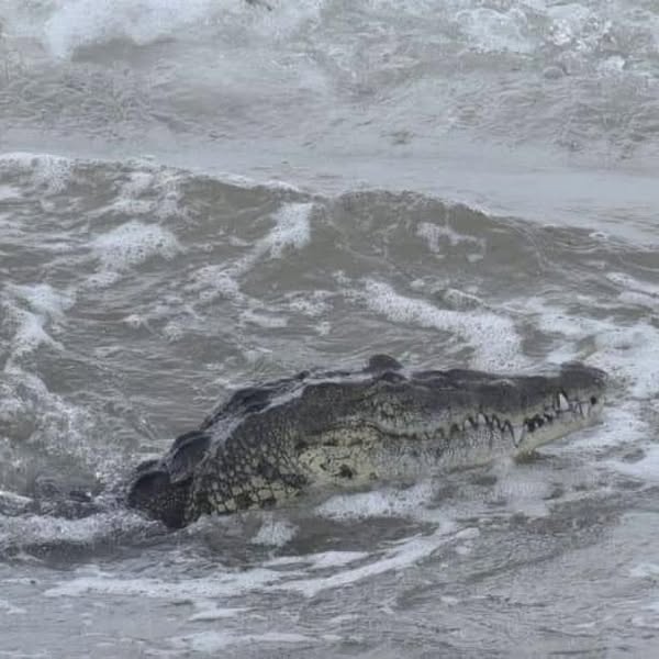 449706852_1211504810242062_4209609283419188852_n