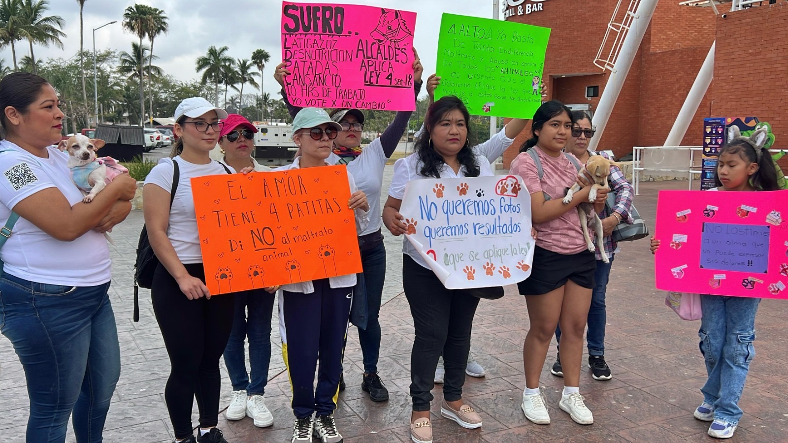 75f7233c-bc5c-4ca4-85b5-cfa60c0f274e