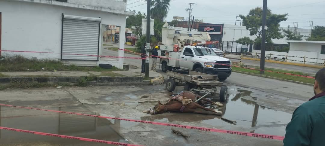 WhatsApp Image 2025-03-10 at 7.14.30 PM