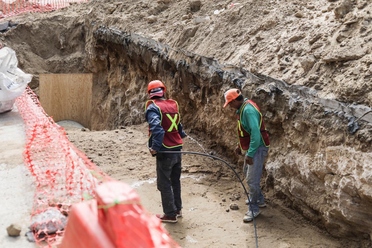 WhatsApp Image 2025-03-12 at 3.52.38 PM (1)