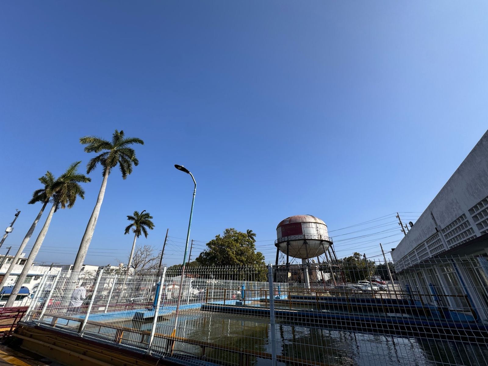 WhatsApp Image 2025-03-13 at 4.58.12 PM (1)