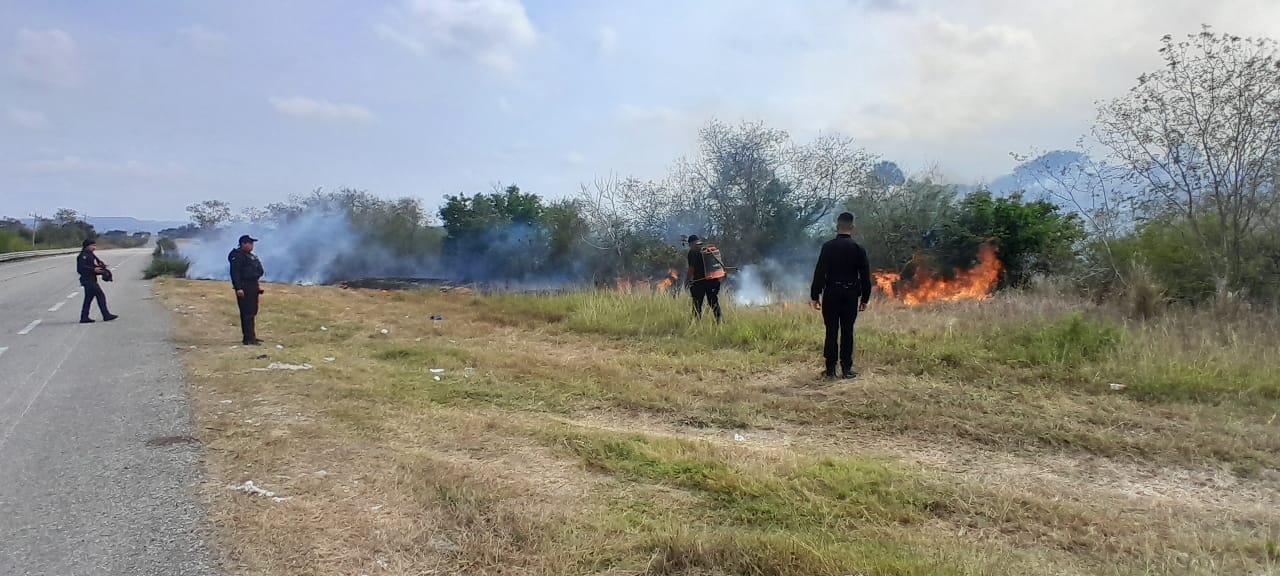 WhatsApp Image 2025-03-24 at 5.55.27 PM