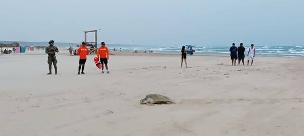 484958101_1482185043109956_7862308197491188180_n