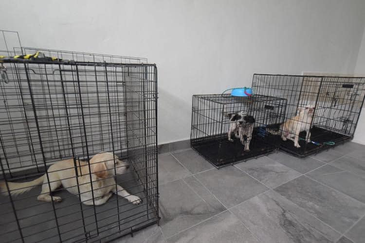 486046249_9593287684048033_3299814453297150136_n