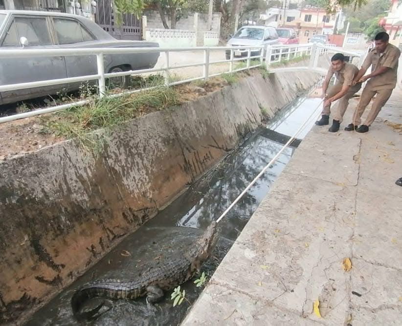 WhatsApp Image 2025-04-01 at 2.20.04 PM