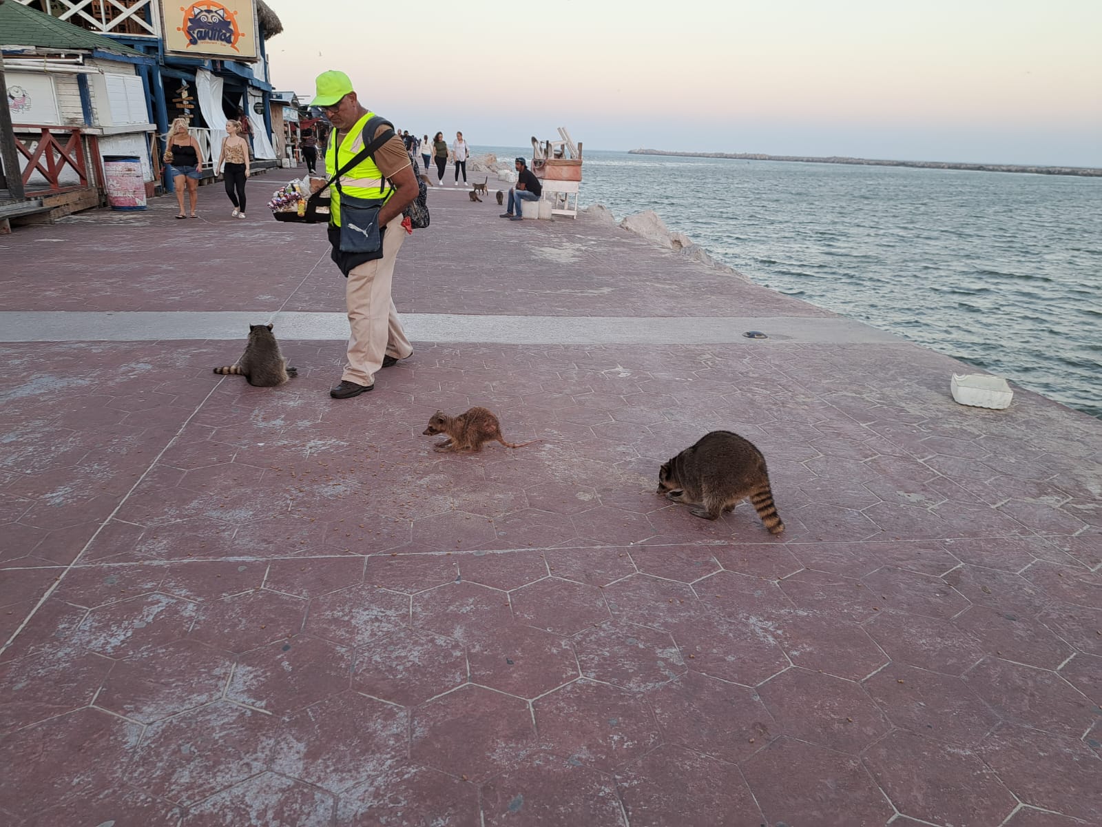 WhatsApp Image 2025-04-04 at 3.35.07 PM (1)