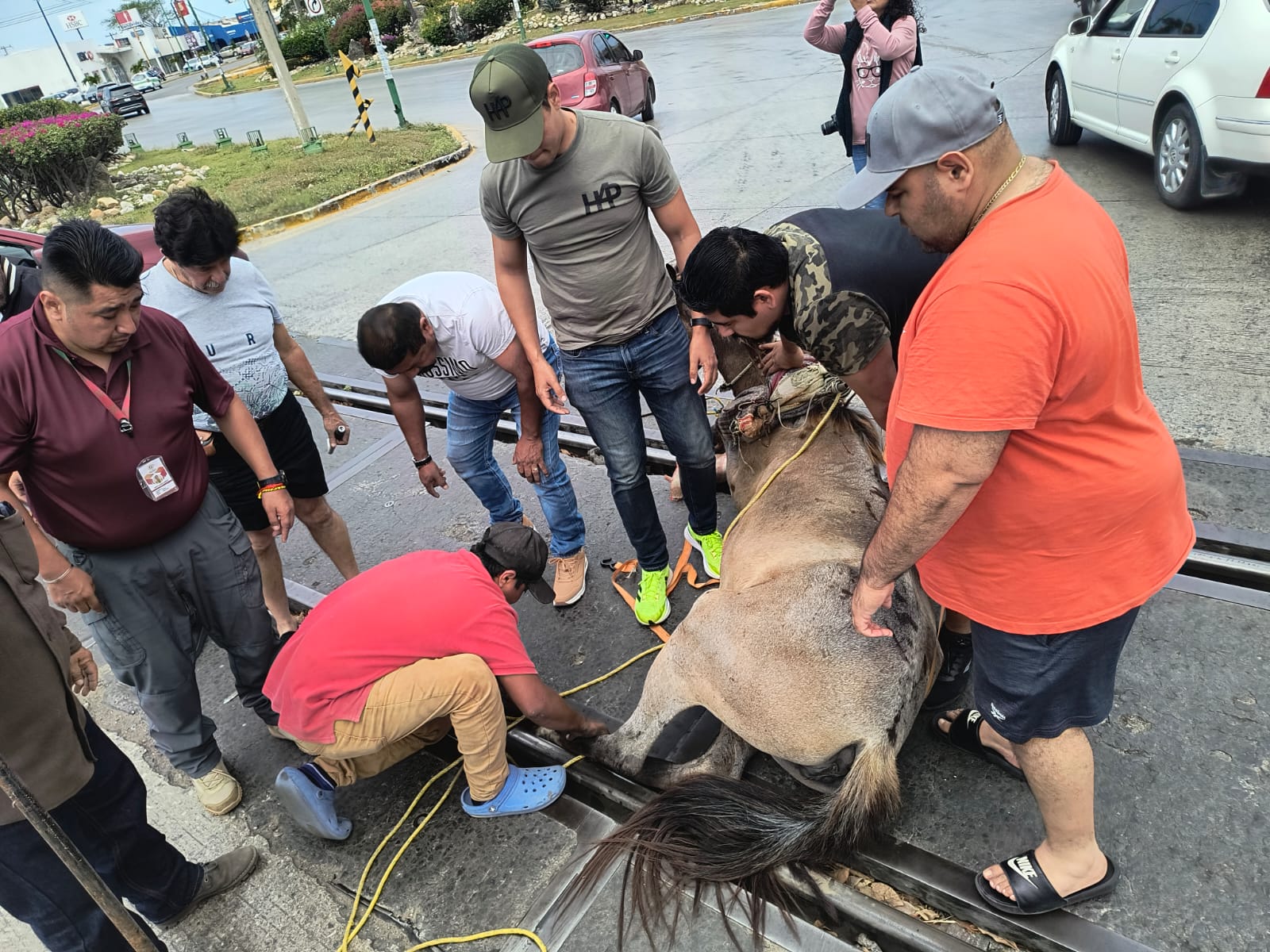 WhatsApp Image 2025-04-06 at 2.30.48 PM (1)