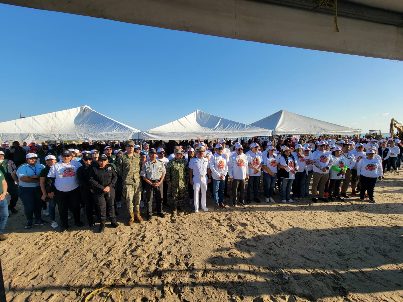 WhatsApp Image 2025-04-11 at 2.05.02 PM