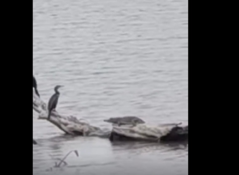 WhatsApp Image 2025-05-04 at 3.22.43 PM