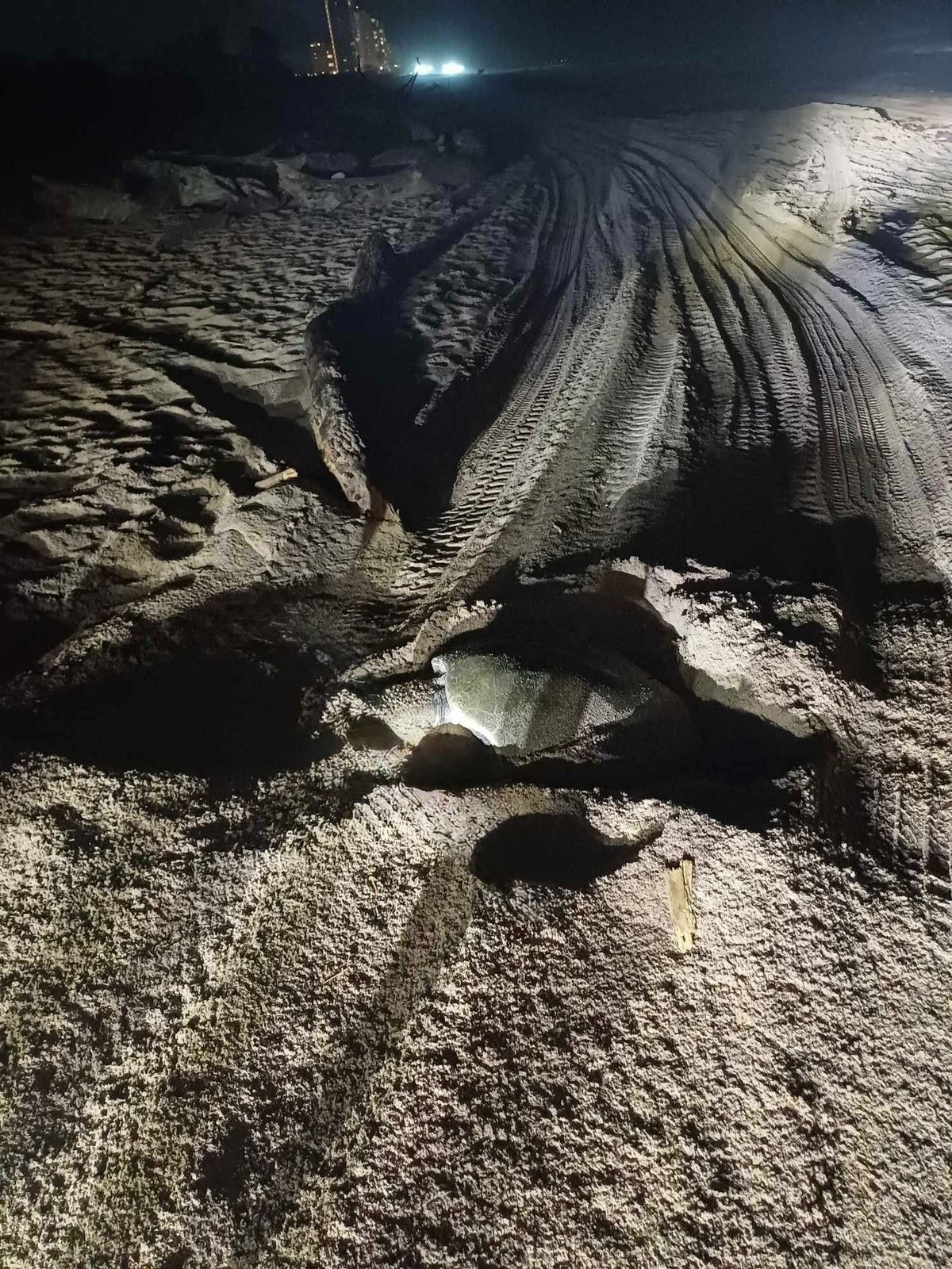 WhatsApp Image 2025-05-05 at 9.50.58 AM