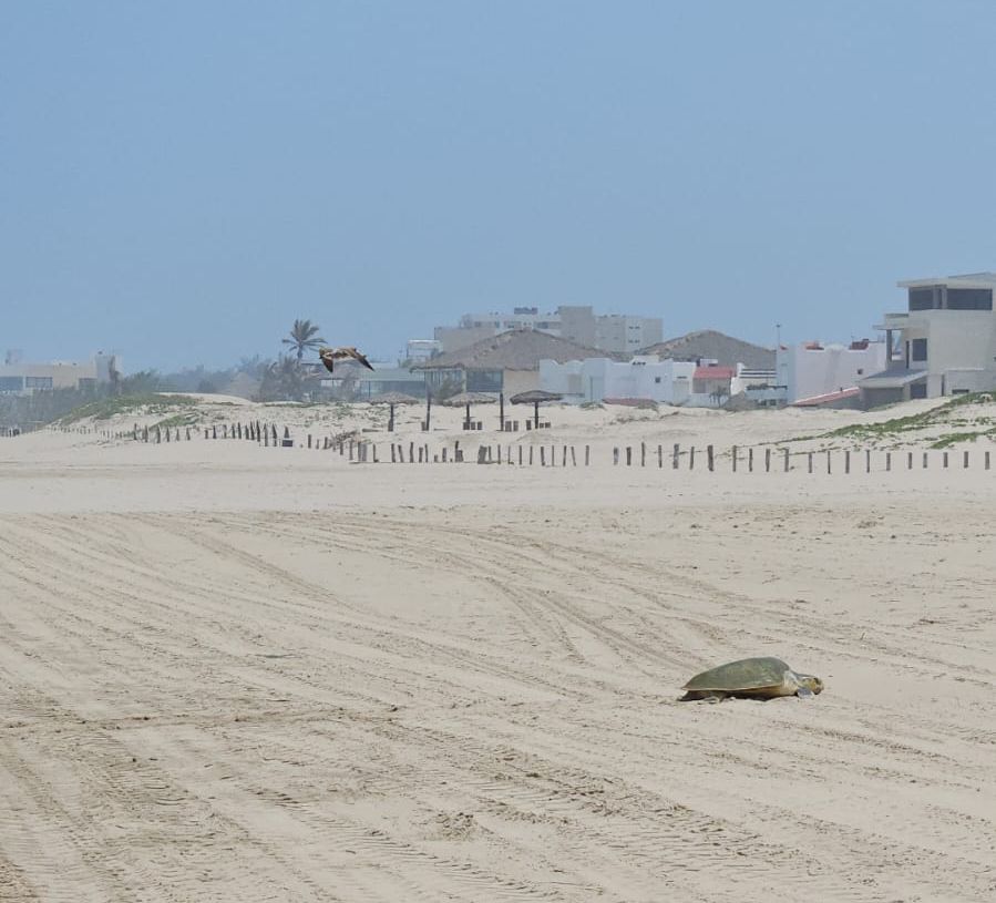 WhatsApp Image 2025-05-08 at 1.40.42 PM (1)