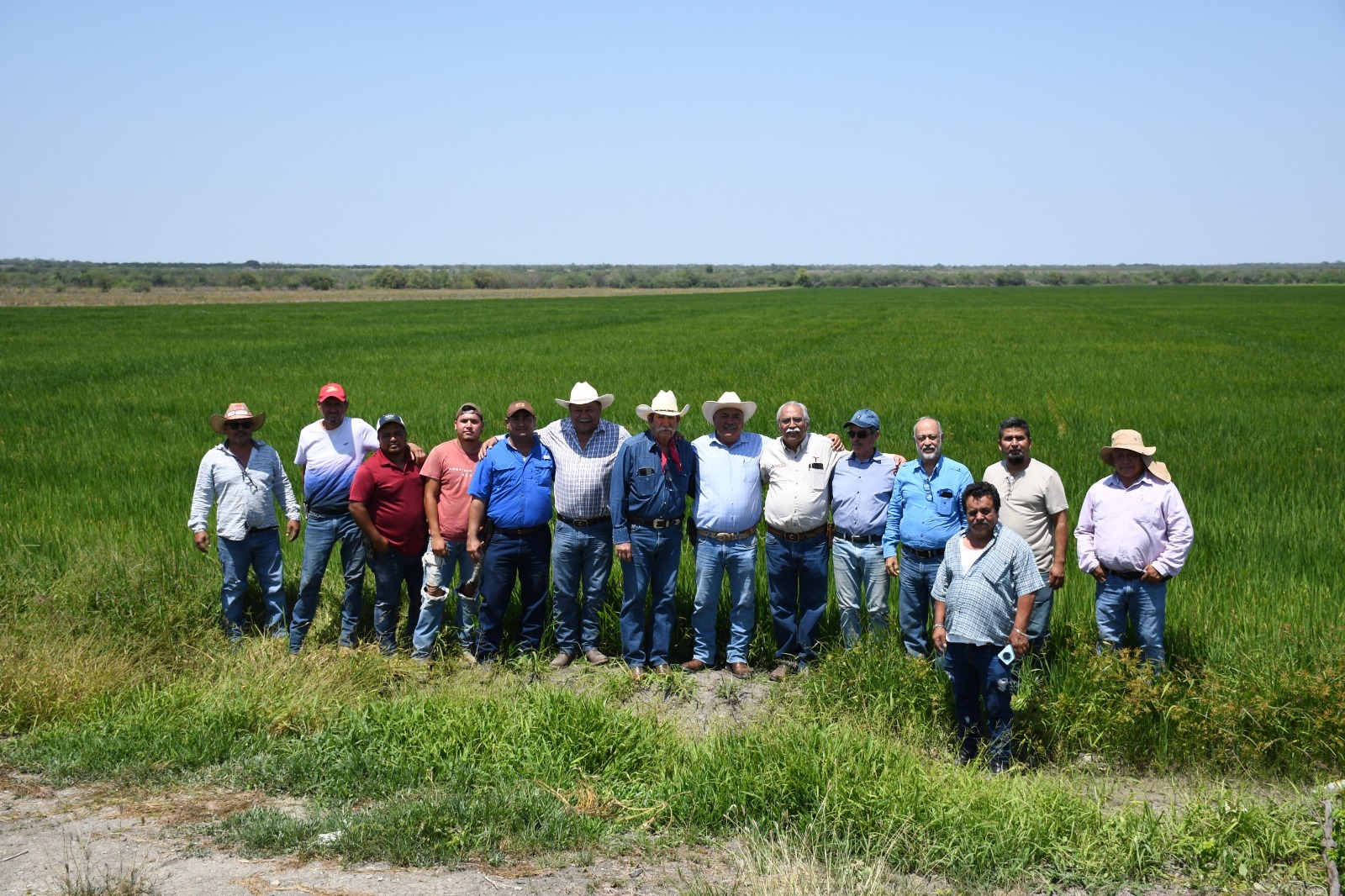 WhatsApp Image 2025-05-14 at 11.59.32 AM