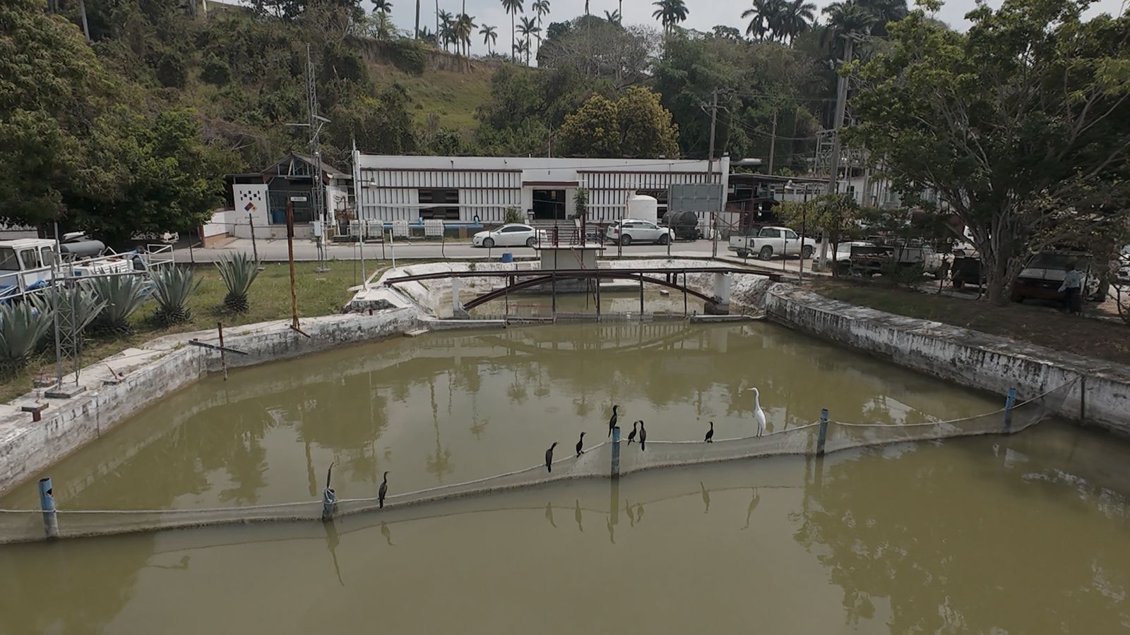 WhatsApp Image 2025-05-14 at 4.04.36 PM