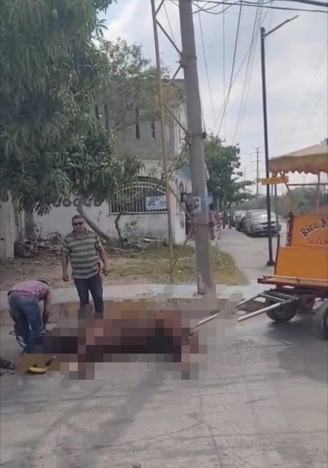 WhatsApp Image 2025-05-19 at 3.15.09 PM (1)